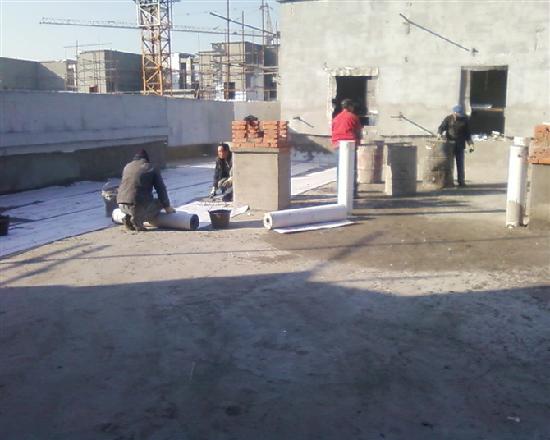 20101214104719794.jpg 20101214104719794.jpg