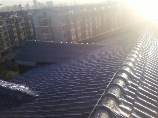 20101214104532173.jpg 20101214104532173.jpg